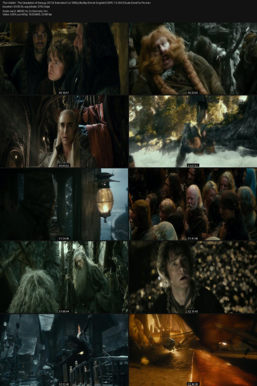 The-Hobbit---The-Desolation-of-Smaug-2013-Extended-Cut-1080p-BluRay-Hindi-English-DDP5.1-H.264-ESubs-ExtraFlix.Pw.jpg