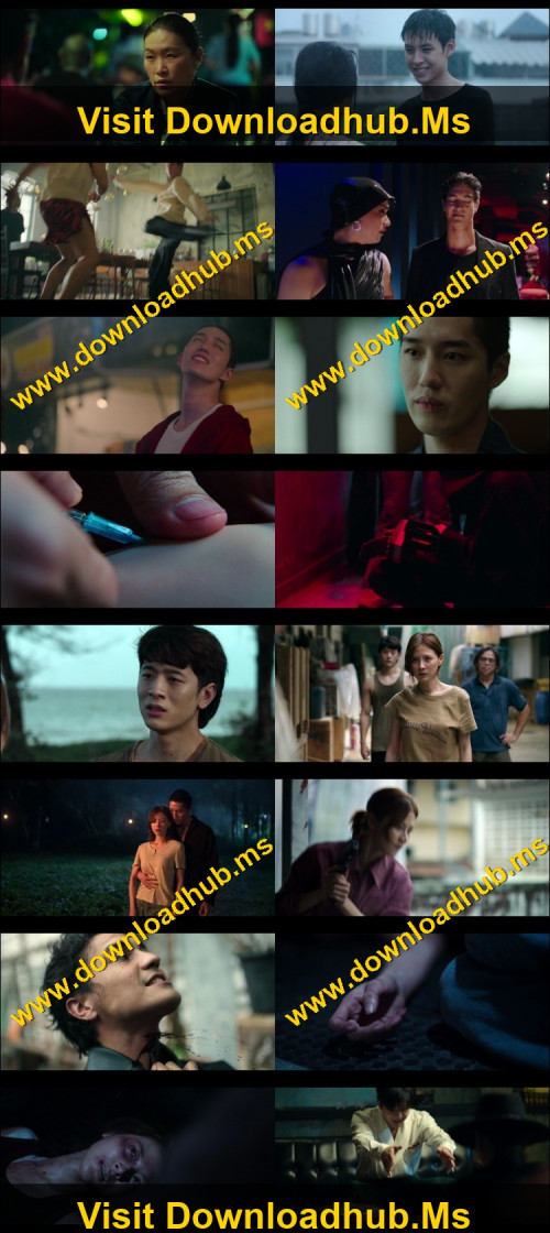 My-Dearest-Assassin-2026-Hindi-ORG-Dual-Audio-www.ExtraFlix.pw-1080p-Web-DL-x264-ESubs-Untouch_s.jpg