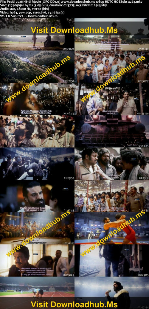 Peddi-2026-Hindi-Movie-ORG-DD2.0-www.downloadhub.ms-1080p-HDTC-HC-ESubs-x264_s.jpg