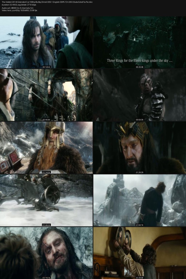The-Hobbit-2014-Extended-Cut-1080p-BluRay-Hindi-DD5.1-English-DDP5.1-H.265-ESubs-ExtraFlix.Pw.jpg