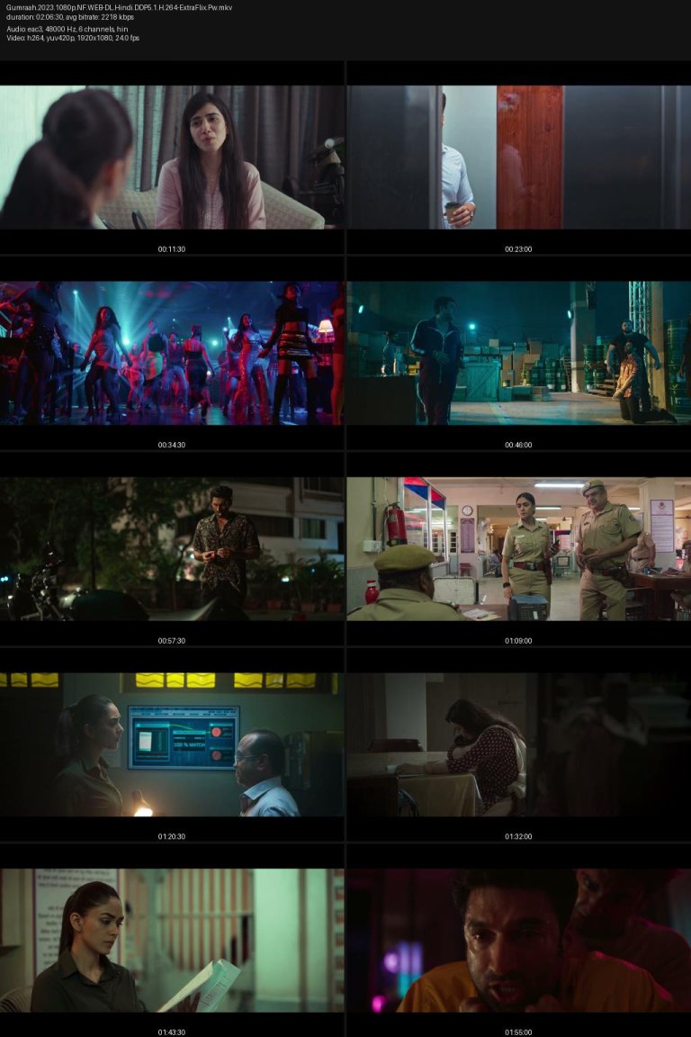 Gumraah.2023.1080p.NF.WEB-DL.Hindi.DDP5.1.H.264-ExtraFlix.Pw.jpg