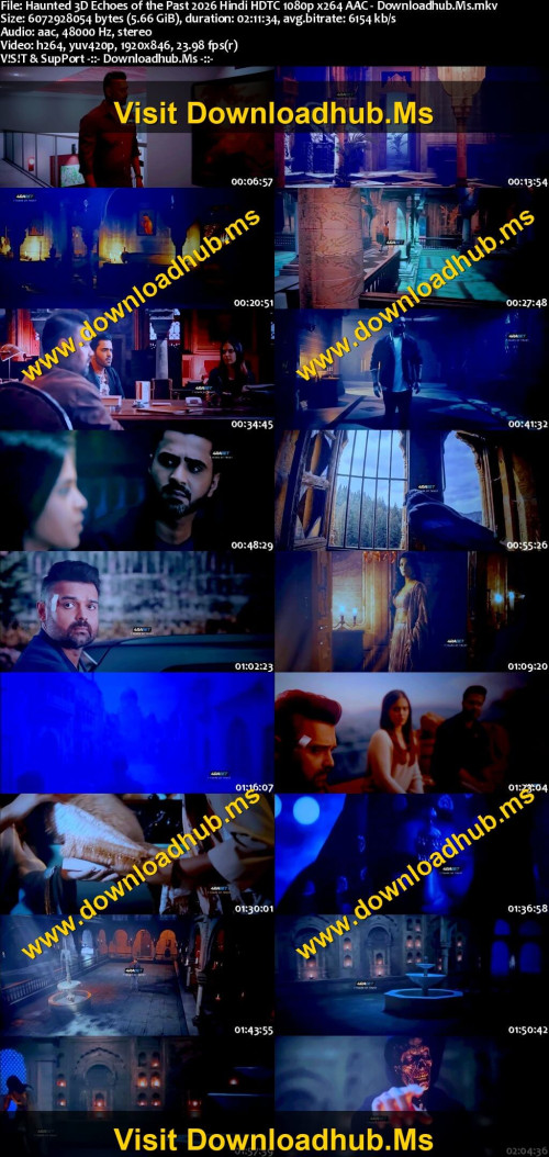 Haunted-3D-Echoes-of-the-Past-2026-Hindi-HDTC-1080p-x264-AAC---Downloadhub.Ms_s.jpg