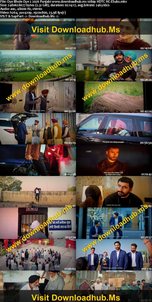 Oye-Bhole-Oye-2-2026-Punjabi-www.downloadhub.ms-1080p-HDTC-HC-ESubs_s-1.jpg
