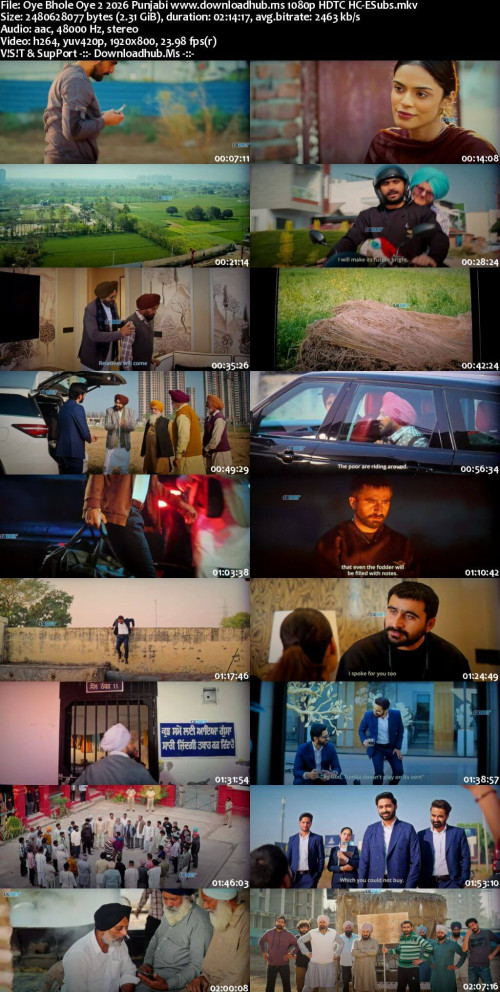 Oye-Bhole-Oye-2-2026-Punjabi-www.downloadhub.ms-1080p-HDTC-HC-ESubs_s.jpg