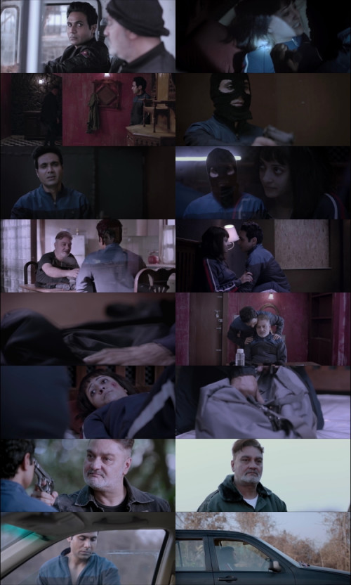 Aliya.Basu.Gayab.Hai.2024.1080p.WEB-DL.Hindi.2.0-Bengali.2.0.ESub.x264-HDHub4u.Ms._s.jpg