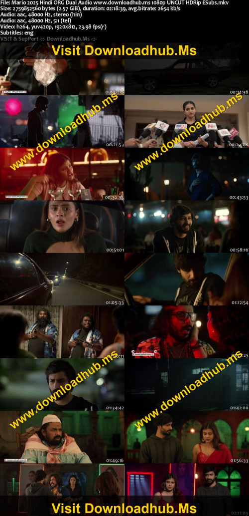 Mario-2025-Hindi-ORG-Dual-Audio-www.downloadhub.ms-1080p-UNCUT-HDRip-ESubs_s-1.jpg