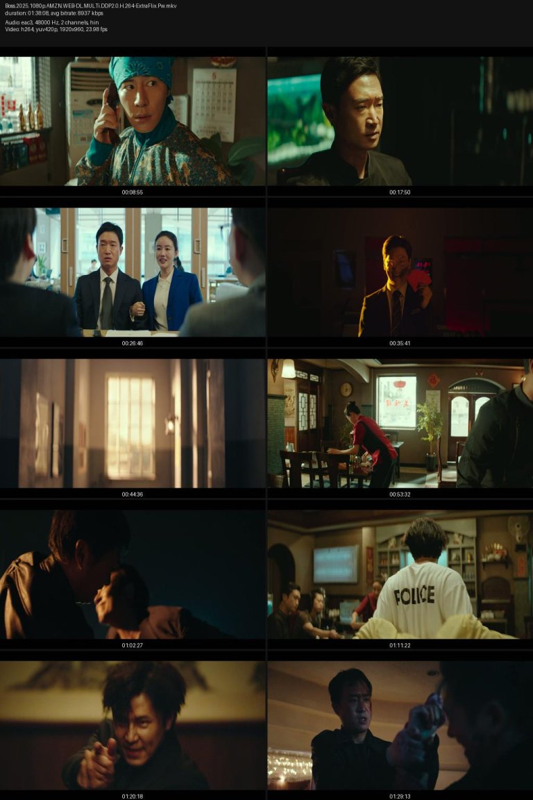 Boss.2025.1080p.AMZN.WEB-DL.MULTi.DDP2.0.H.264-ExtraFlix.Pw.jpg