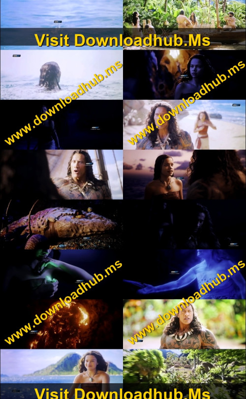 Moana-2026-Hindi-ExtraFlix.pw-1080p-HDTC-x264-Untouched_s.jpg
