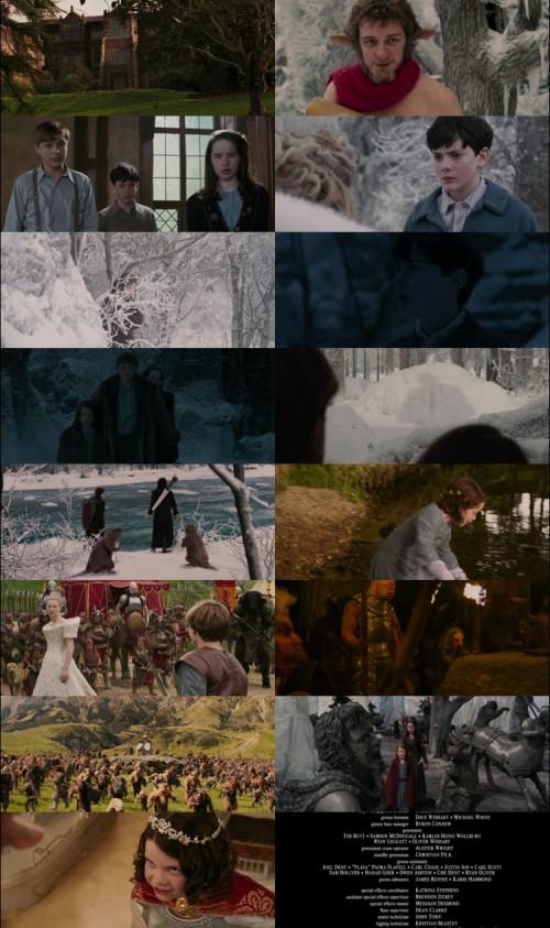 The.Chronicles.of.Narnia-The.Lion.the.Witch.and.the.Wardrobe.2005.1080p.BluRay.Hindi.English.DD5.1.x264.ESubs.Untouch_s.jpg