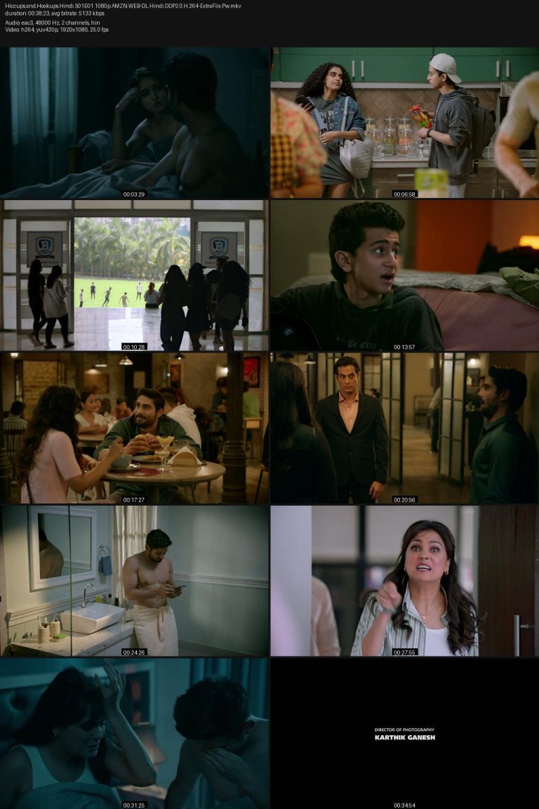 Hiccups.and.Hookups.Hindi.S01E01.1080p.AMZN.WEB-DL.Hindi.DDP2.0.H.264-ExtraFlix.Pw.jpg