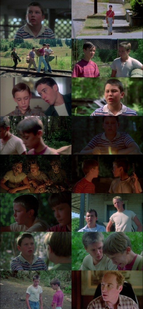 Stand.by.Me.1986.1080p.BluRay.Hindi.English.DD5.1.x264.ESubs_s.jpg
