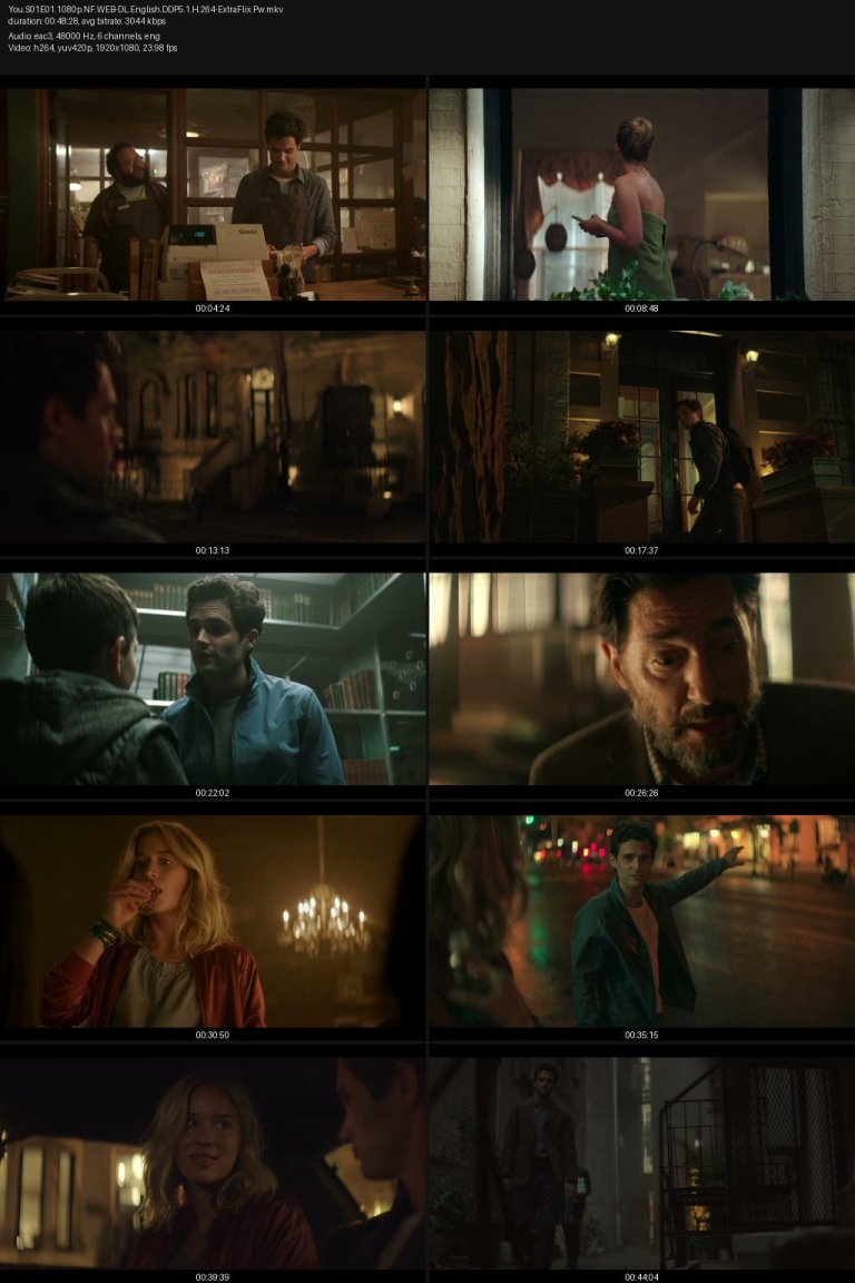 You.S01E01.1080p.NF.WEB-DL.English.DDP5.1.H.264-ExtraFlix.Pw.jpg