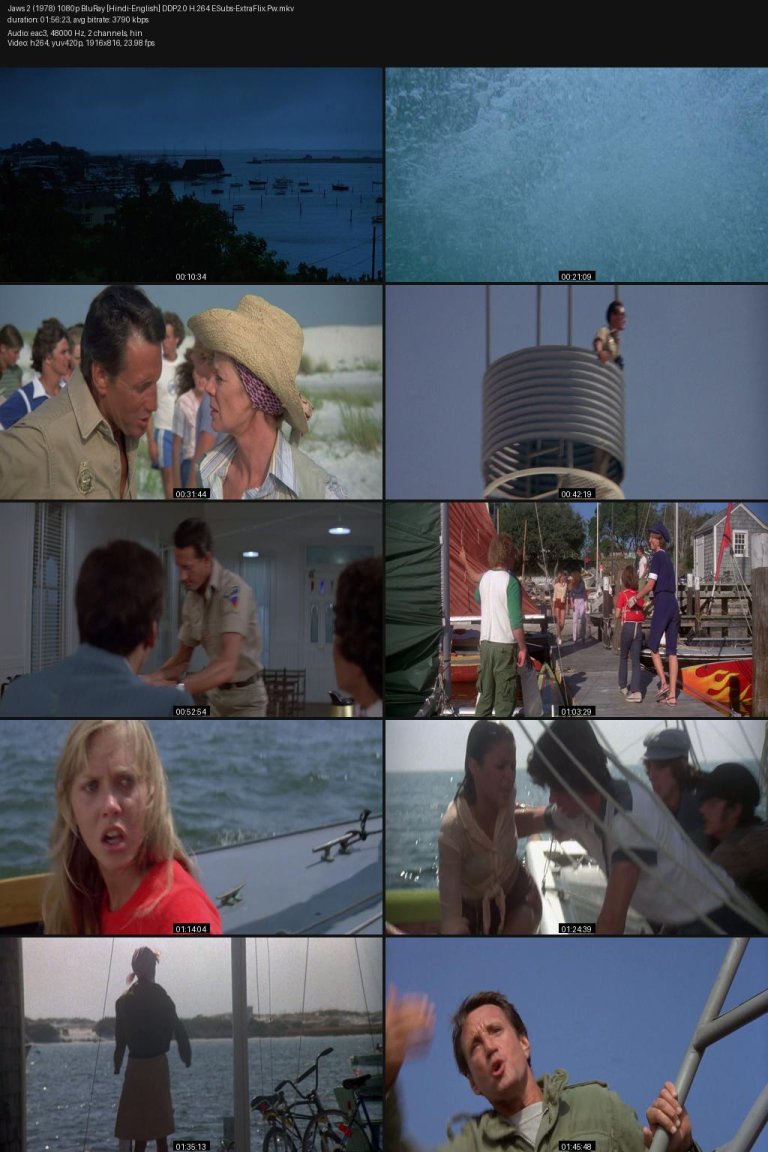 Jaws-2-1978-1080p-BluRay-Hindi-English-DDP2.0-H.264-ESubs-ExtraFlix.Pw.jpg