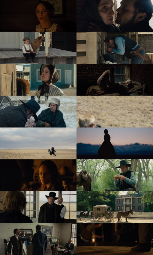 The.Homesman.2014.1080p.BluRay.Hindi.English.DD2.0.x264.ESubs_s.jpg