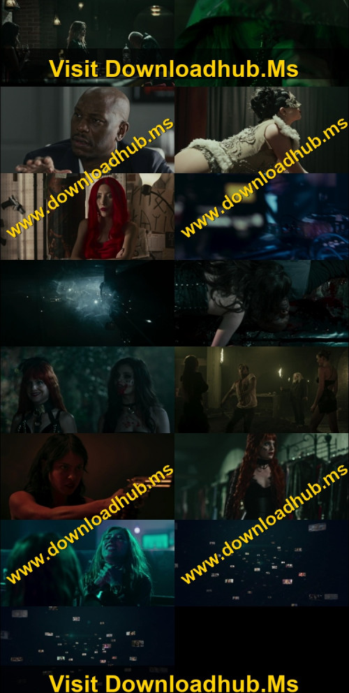 Vampires-Of-The-Velvet-Lounge-2026-Hindi-ORG-Dual-Audio-www.ExtraFlix.pw-1080p-Web-DL-x264-ESubs-Untouch_s.jpg