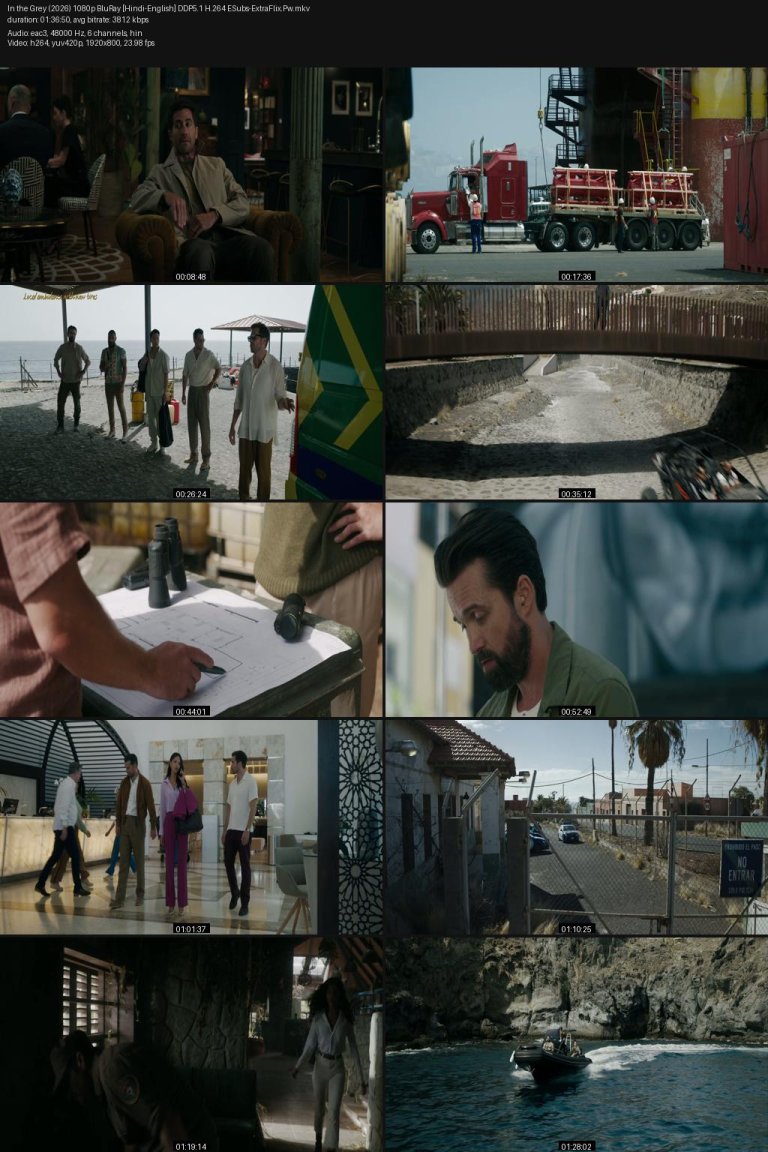 In-the-Grey-2026-1080p-BluRay-Hindi-English-DDP5.1-H.264-ESubs-ExtraFlix.Pw.jpg