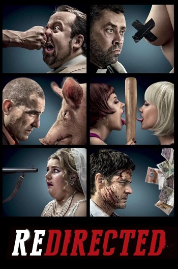 Redirected-2014.jpg