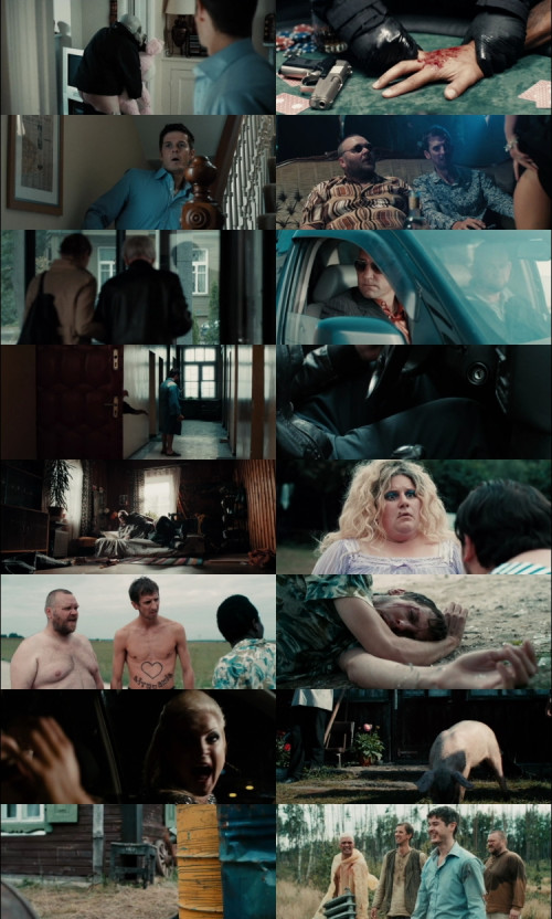 Redirected.2014.1080p.BluRay.Hindi.English.DD2.0.x264.ESubs_s.jpg
