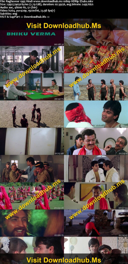 Raghuveer-1995-Hindi-www.downloadhub.ms-1080p-HDRip-ESubs_s.jpg