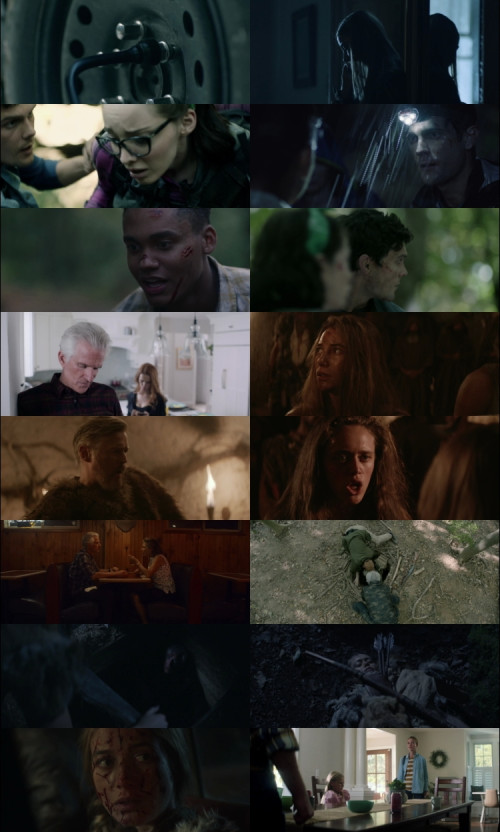 Wrong.Turn.2021.1080p.BluRay.Hindi.English.DD2.0.x264.ESubs_s.jpg