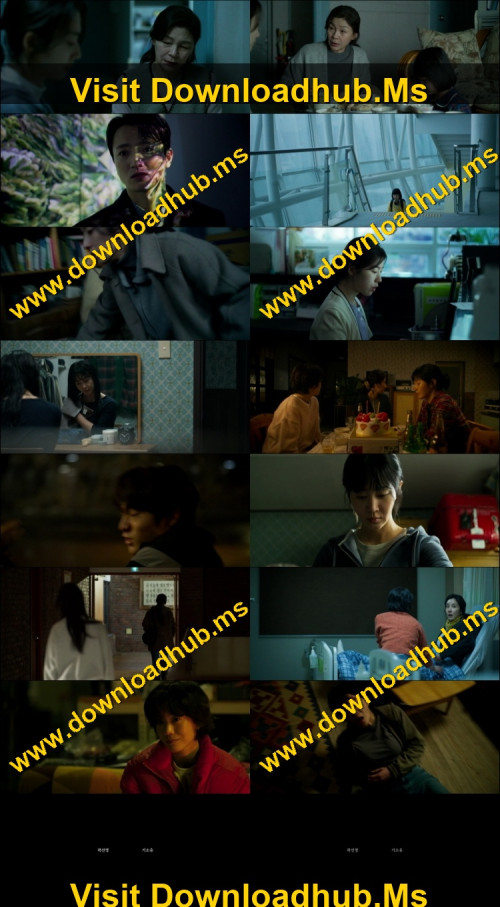 Somebody-2025-Hindi-ORG-Dual-Audio-www.ExtraFlix.pw-1080p-Web-DL-x264-ESubs-Untouch_s.jpg