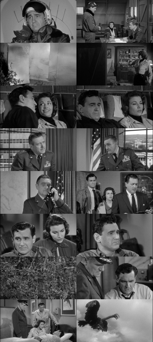 The.Giant.Claw.1957.1080p.BluRay.Hindi.English.DD2.0.x264.ESubs_s8bf6c0ca1ad392bf.jpg