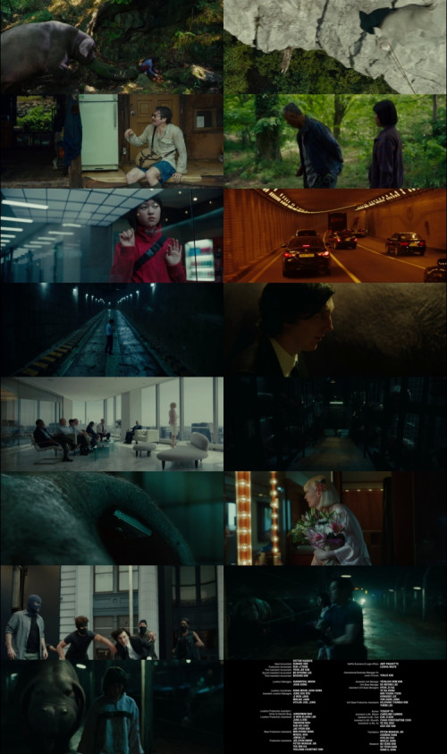 Okja.2017.1080p.BluRay.Hindi.English.DD5.1.x264.ESubs_s.jpg