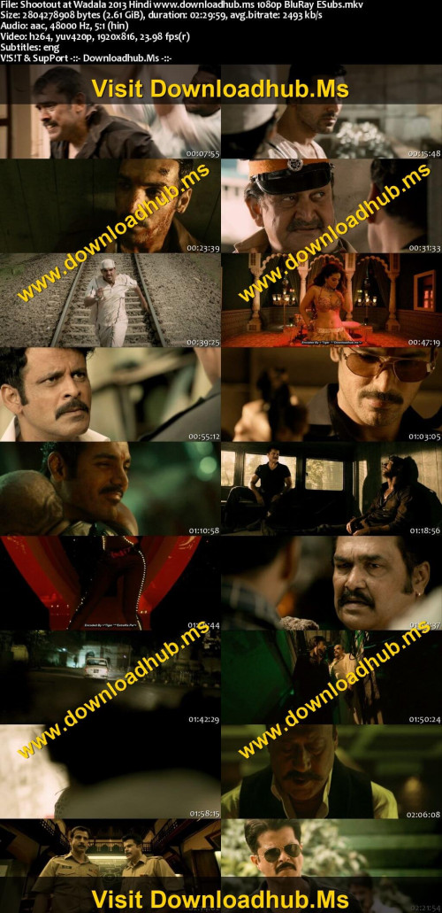 Shootout-at-Wadala-2013-Hindi-www.downloadhub.ms-1080p-BluRay-ESubs_s.jpg
