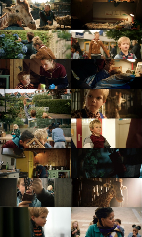 Dikkertje.Dap.Aka.My.Giraffe.2017.1080p.BluRay.Hindi.English.DD2.0.x264.ESubs_s.jpg