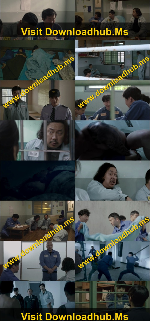 King-of-Prison-2020-Hindi-ORG-Dual-Audio-www.ExtraFlix.pw-1080p-Web-DL-x264-ESubs_s.jpg