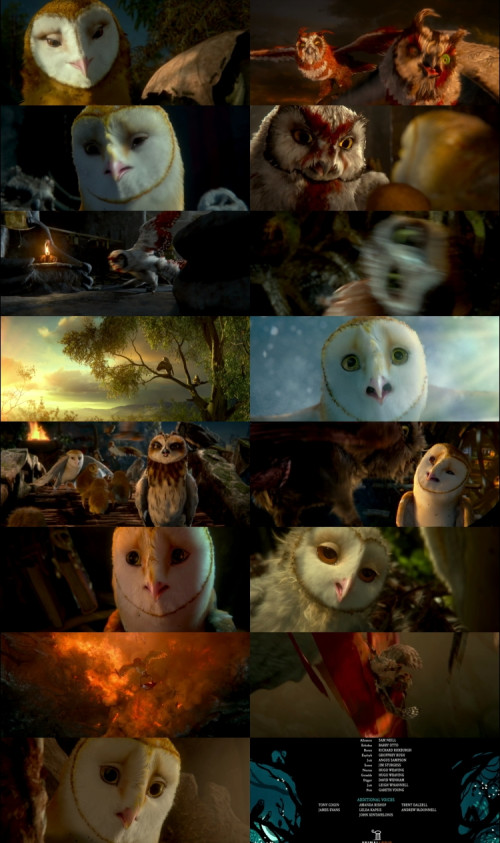 Legend.of.the.Guardians.The.Owls.of.GaHoole.2010.1080p.BluRay.Hindi.English.DD5.1.x264.ESubs_s.jpg
