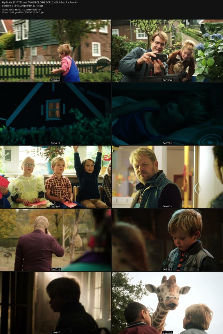 My.Giraffe.2017.720p.AMZN.WEB-DL.DUAL.DDP2.0.H.264-ExtraFlix.Pw.jpg