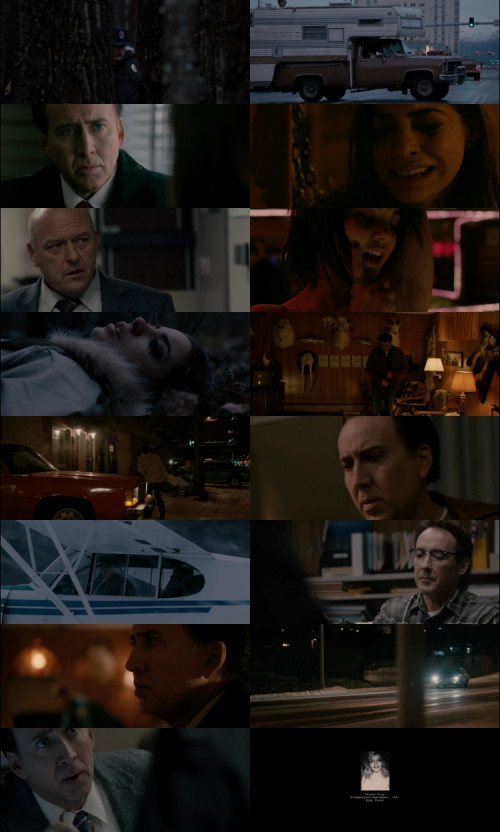 The.Frozen.Ground.2013.1080p.BluRay.Hindi.English.DD2.0.x264.ESubs_s.jpg