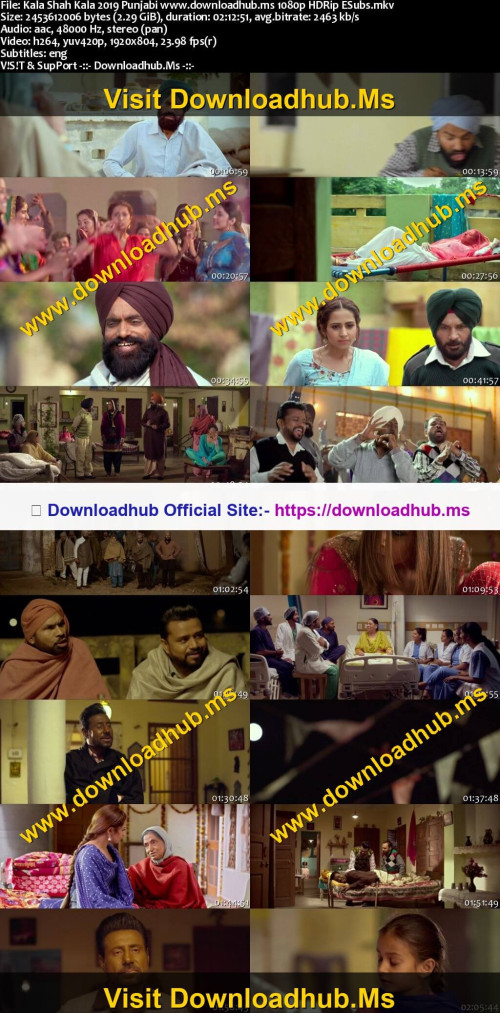 Kala-Shah-Kala-2019-Punjabi-www.downloadhub.ms-1080p-HDRip-ESubs_s.jpg