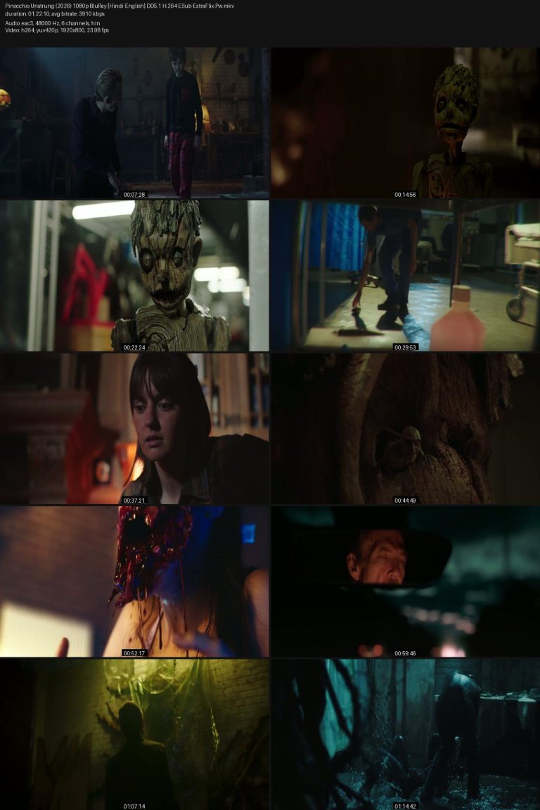 Pinocchio-Unstrung-2026-1080p-BluRay-Hindi-English-DD5.1-H.264-ESub-ExtraFlix.Pw.jpg
