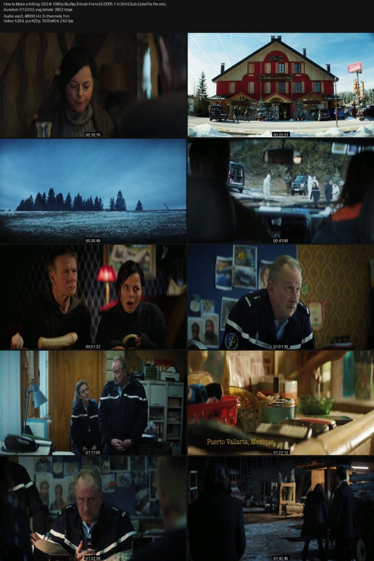 How-to-Make-a-Killing-2024-1080p-BluRay-Hindi-French-DDP5.1-H.264-ESub-ExtraFlix.Pw.jpg