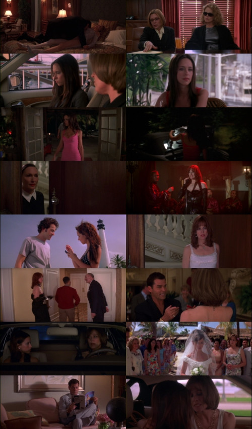 Heartbreakers.2001.1080p.BluRay.Hindi.English.DD2.0.x264.ESubs_s.jpg