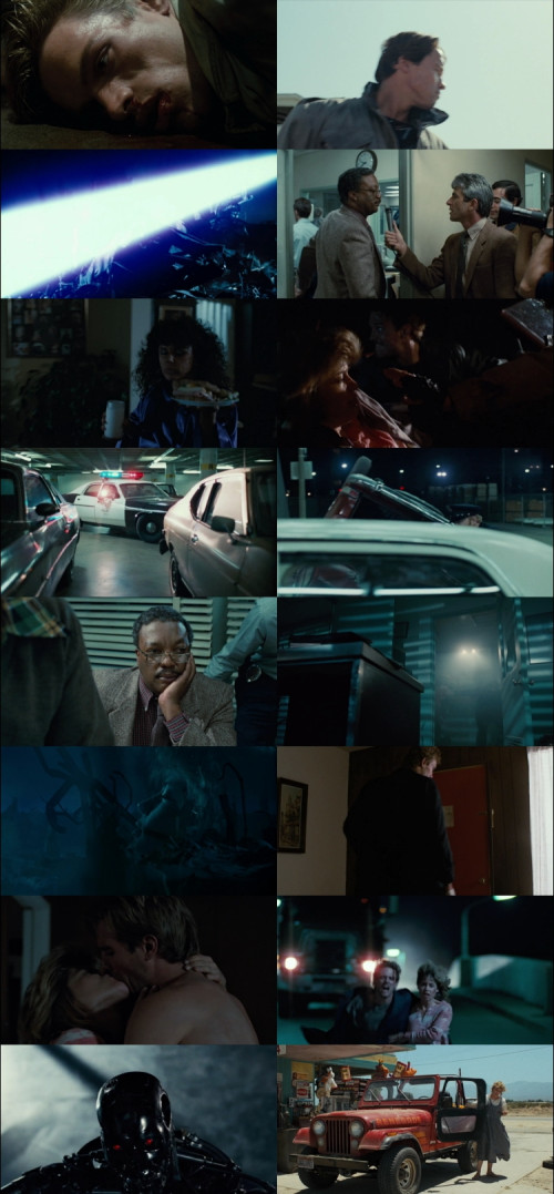 The.Terminator.1984.1080p.BluRay.Hindi.English.DD5.1.x264.ESubs_s.jpg