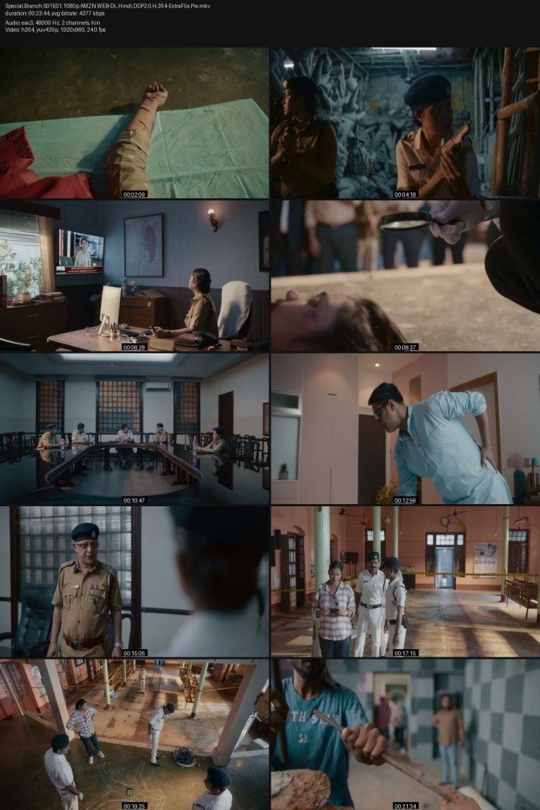 Special.Branch.S01E01.1080p.AMZN.WEB-DL.Hindi.DDP2.0.H.264-ExtraFlix.Pw.jpg