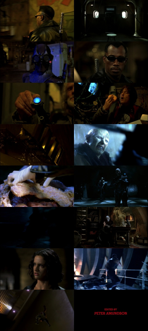 Blade.2.2002.1080p.BluRay.Hindi.English.DD5.1.x264.ESubs_s.jpg