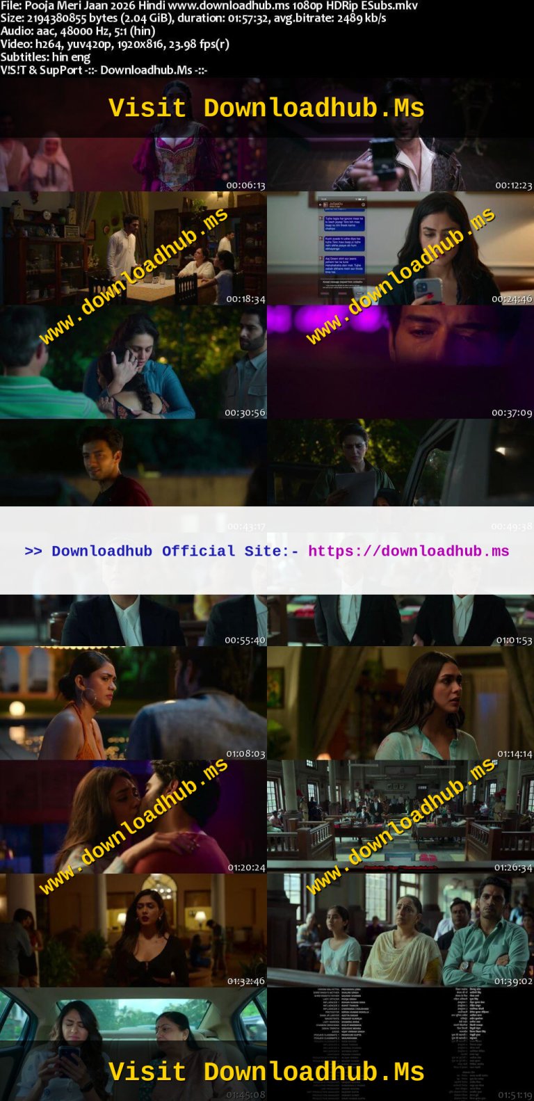 Pooja-Meri-Jaan-2026-Hindi-www.downloadhub.ms-1080p-HDRip-ESubs_s.jpg