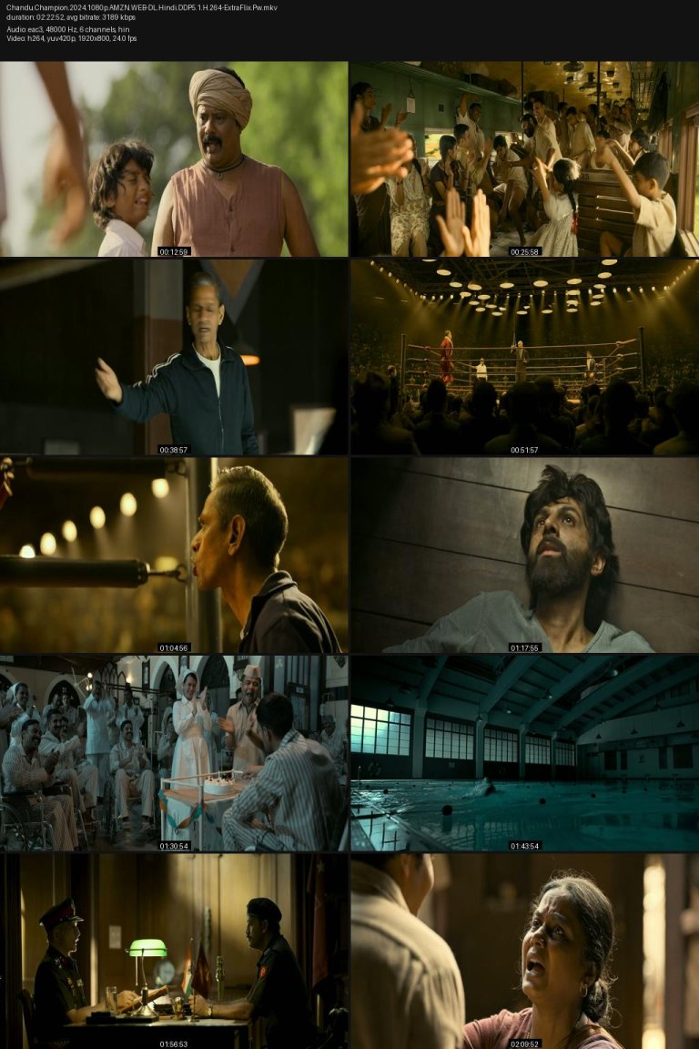 Chandu.Champion.2024.1080p.AMZN.WEB-DL.Hindi.DDP5.1.H.264-ExtraFlix.Pw.jpg