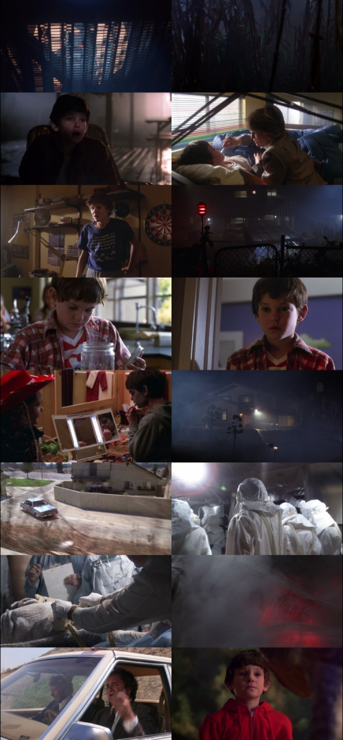 E.T.The.Extra-Terrestrial.1982.1080p.BluRay.Hindi.English.DD5.1.x264.ESubs.Untouch_s.jpg