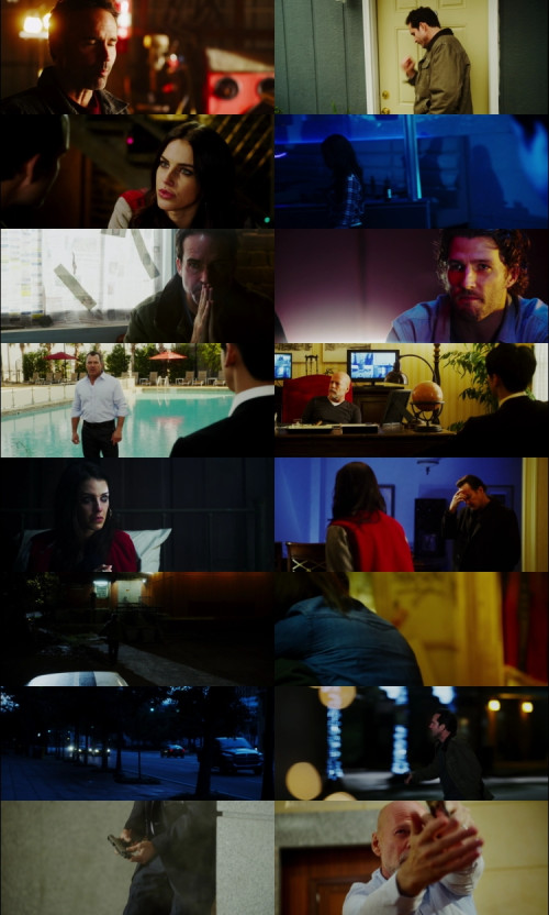 The.Prince.2014.1080p.BluRay.Hindi.English.DD5.1.x264.ESubs_s.jpg