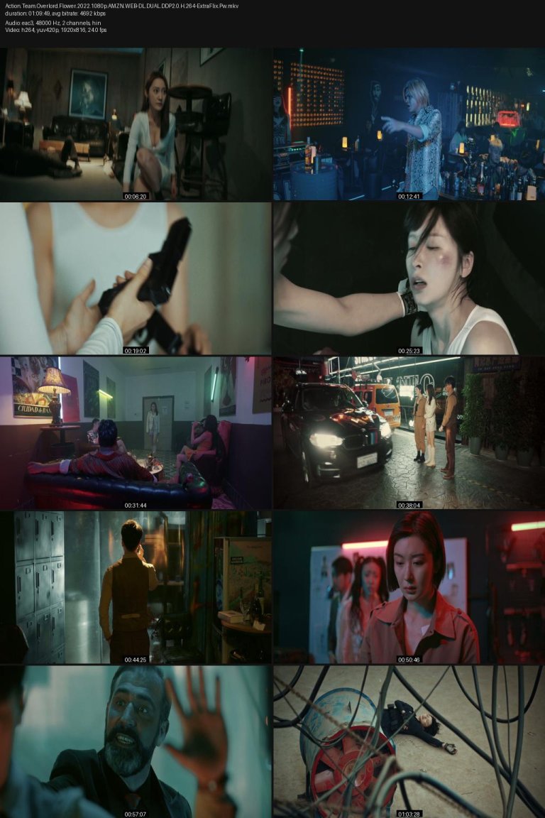 Action.Team.Overlord.Flower.2022.1080p.AMZN.WEB-DL.DUAL.DDP2.0.H.264-ExtraFlix.Pw.jpg