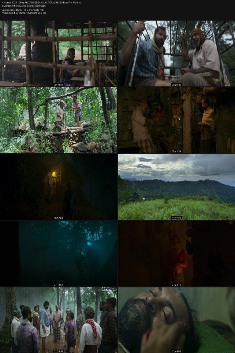 Churuli.2021.1080p.AMZN.WEB-DL.DUAL.DDP2.0.H.264-ExtraFlix.Pw.jpg