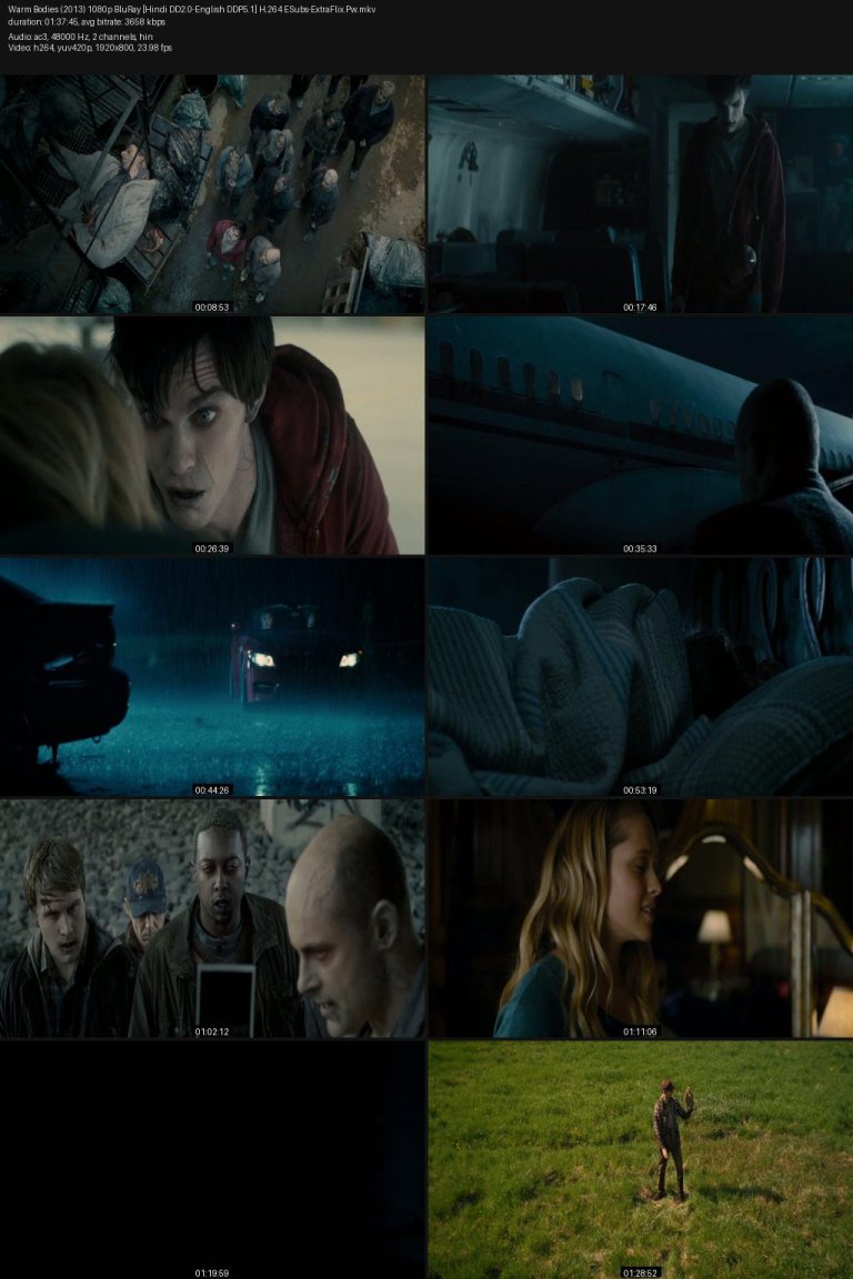 Warm-Bodies-2013-1080p-BluRay-Hindi-DD2.0-English-DDP5.1-H.264-ESubs-ExtraFlix.Pw.jpg