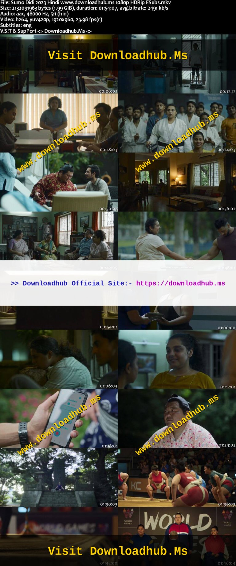 Sumo-Didi-2023-Hindi-www.downloadhub.ms-1080p-HDRip-ESubs_s.jpg
