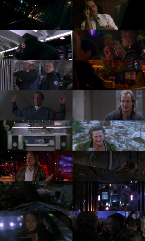 Money.Train.1995.1080p.BluRay.Hindi.English.DD5.1.x264.ESubs_s.jpg