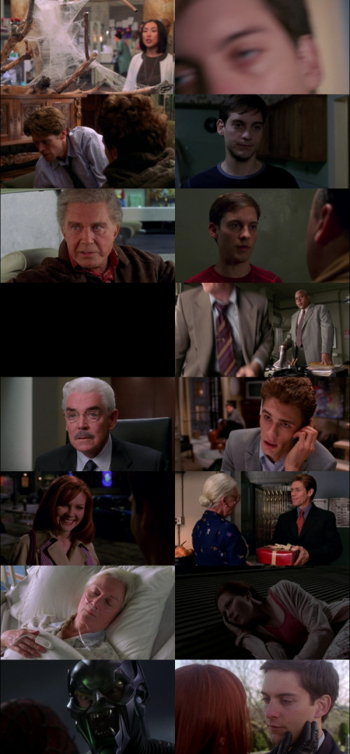 Spider-Man.2002.1080p.BluRay.Hindi.English.DD5.1.x264.ESubs_s.jpg
